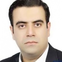 دكتر محمدعلي مرتضوي ها